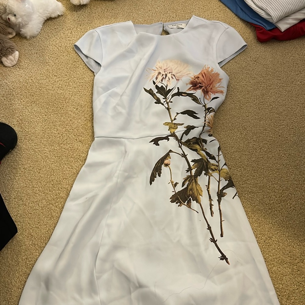 Aritzia Babton Dress - 00